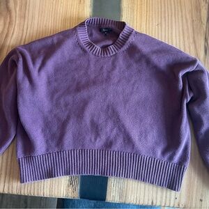 Quince Dusty Mauve 100% Organic Cotton Boyfriend Crew Sweater